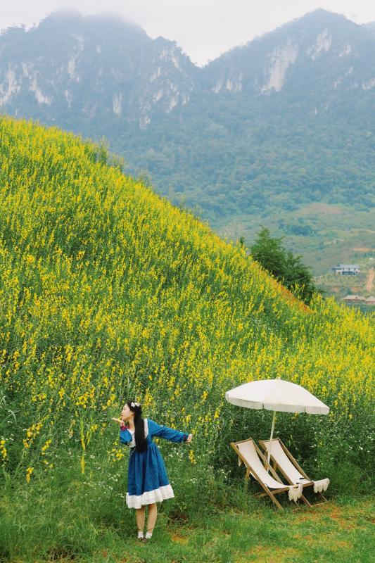thung lung hoa anh 15