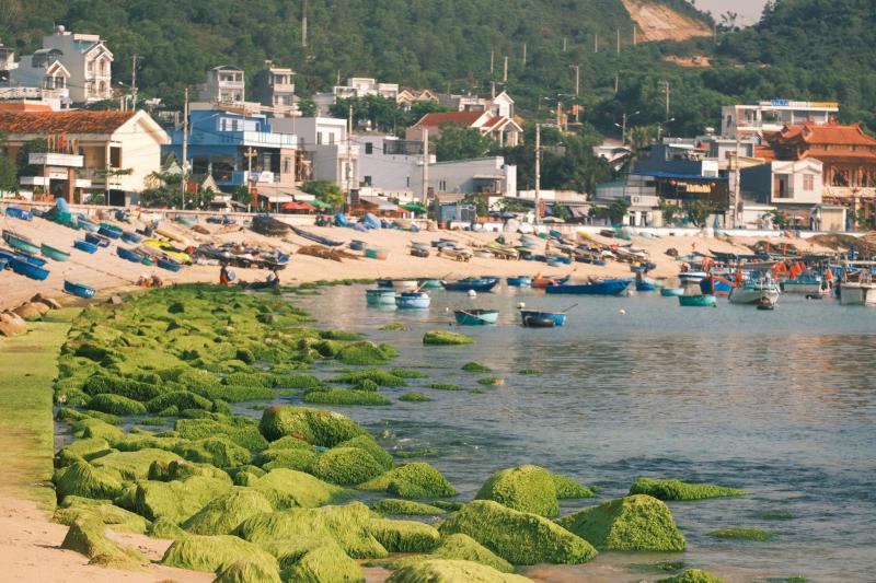Quy Nhon anh 1