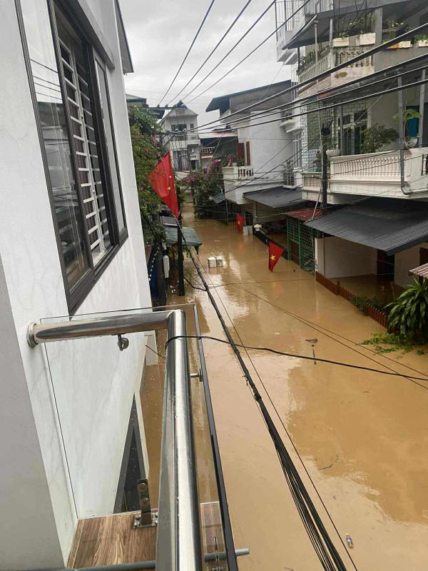 Bua com ngay lu anh 2