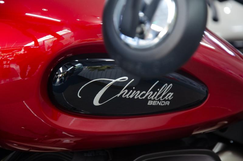 Benda Chinchilla 500 anh 23