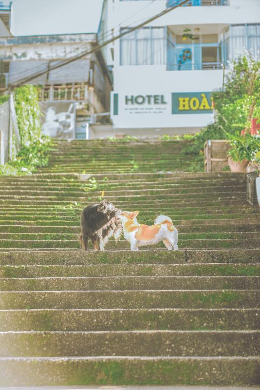 Da Lat anh 21