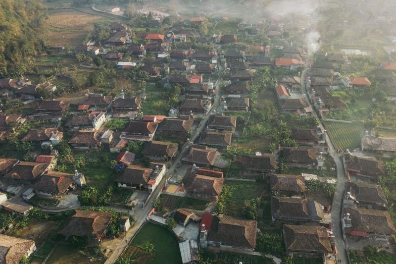 Lo Lo Chai anh 6