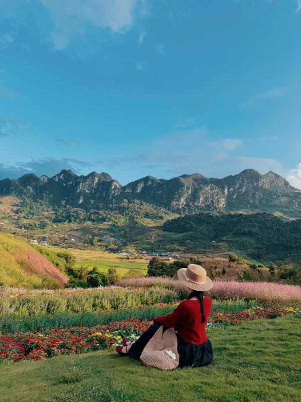 thung lung hoa anh 3