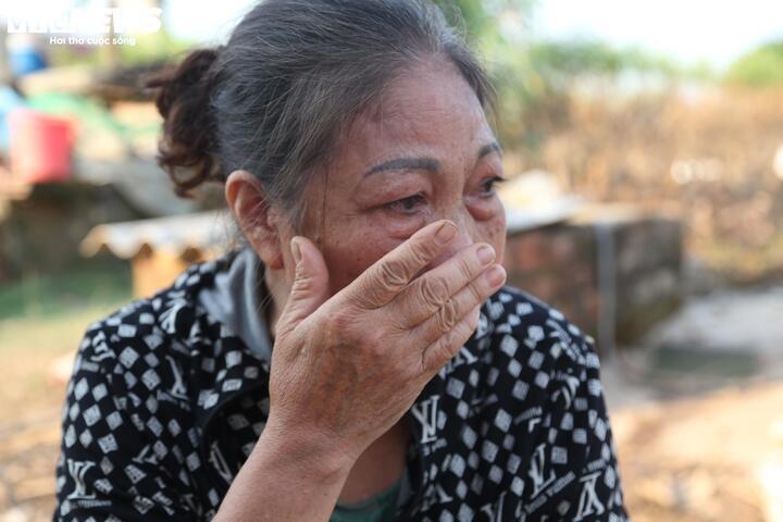 hu hai,  dao Tet,  ngap nuoc anh 3
