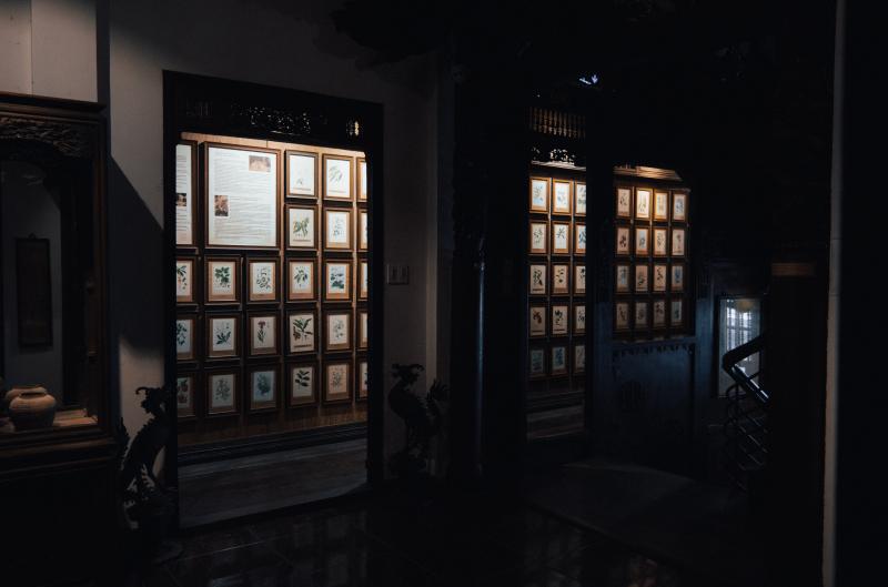 FITO Museum anh 10