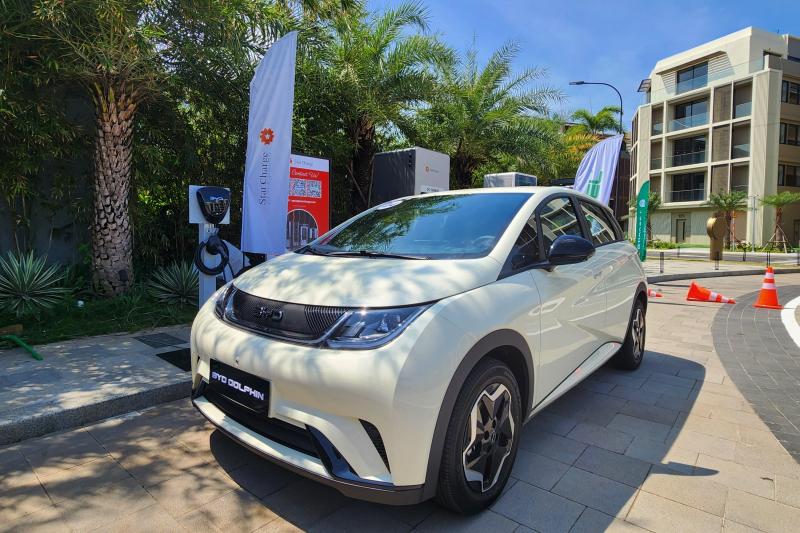 BYD Dolphin anh 3