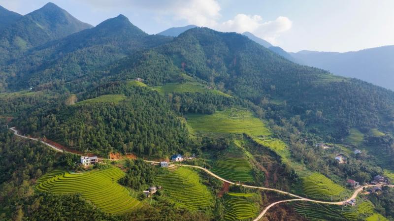 Ruong bac thang Luc Hon anh 20