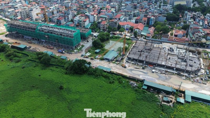 NOXH Rice Long Chau anh 1