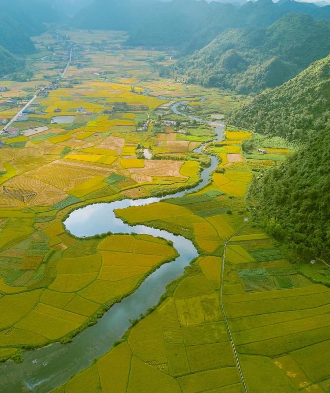 lang Quynh Son anh 5