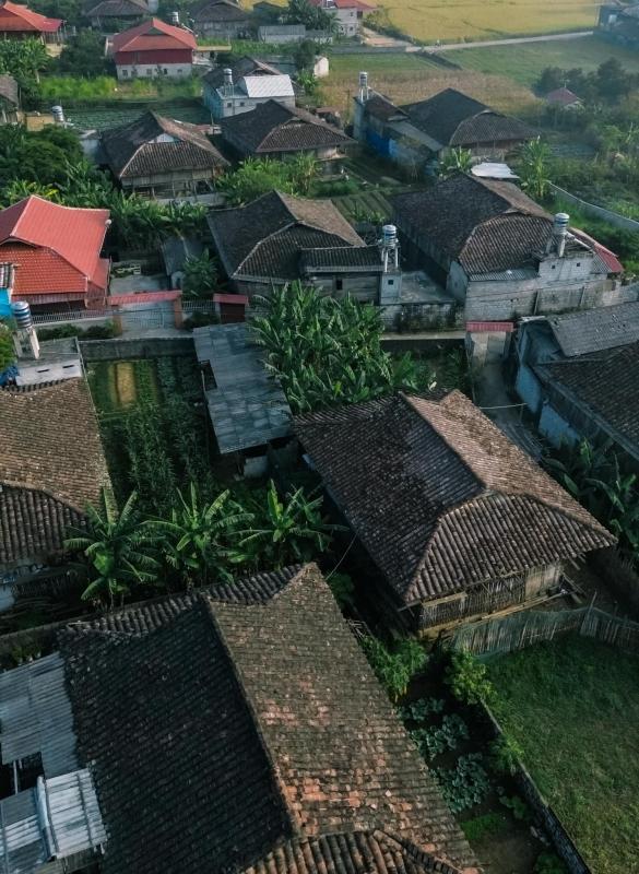 Lo Lo Chai anh 7