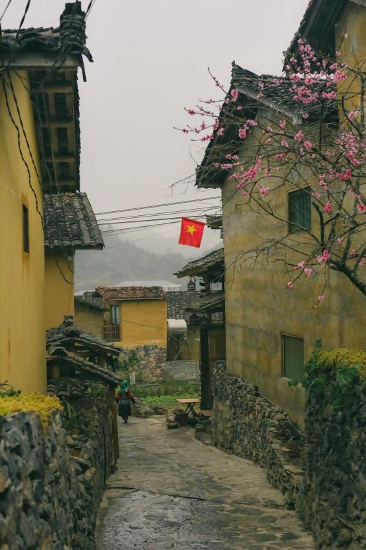 Lo Lo Chai anh 3