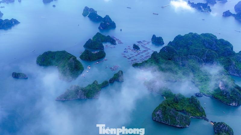 Bao ton bien Quang Ninh anh 4