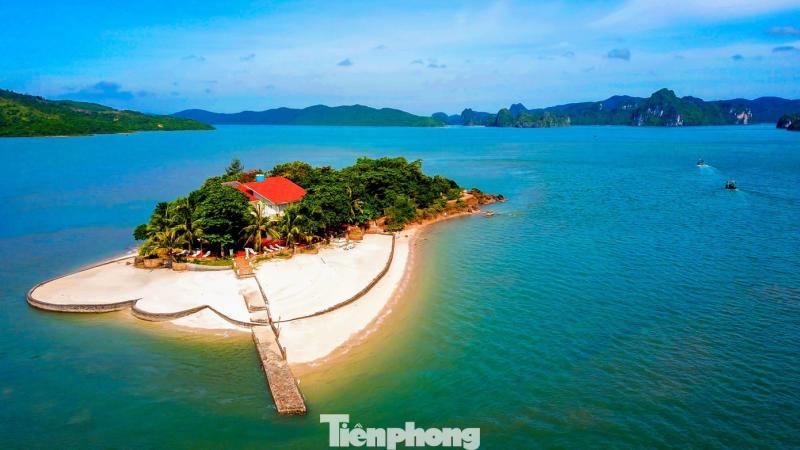 Bao ton bien Quang Ninh anh 5