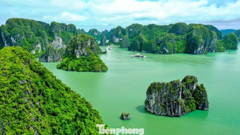 Bao ton bien Quang Ninh anh 7