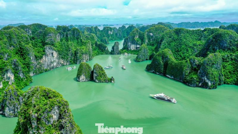 Bao ton bien Quang Ninh anh 8