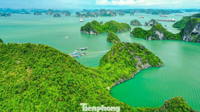 Bao ton bien Quang Ninh anh 6