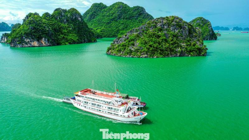 Bao ton bien Quang Ninh anh 9