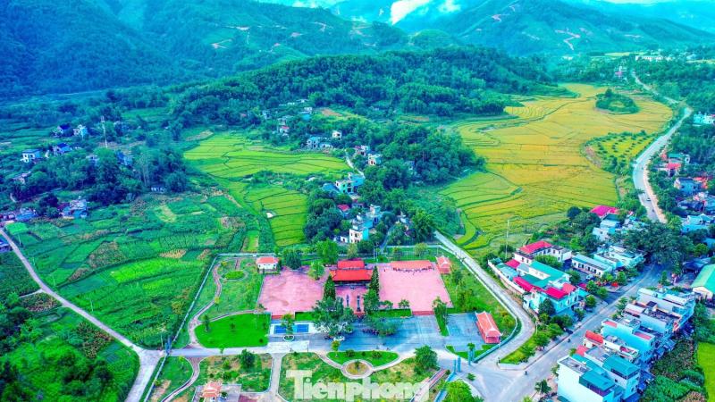 Ruong bac thang Luc Hon anh 16