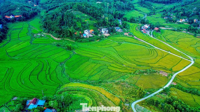 Ruong bac thang Luc Hon anh 17