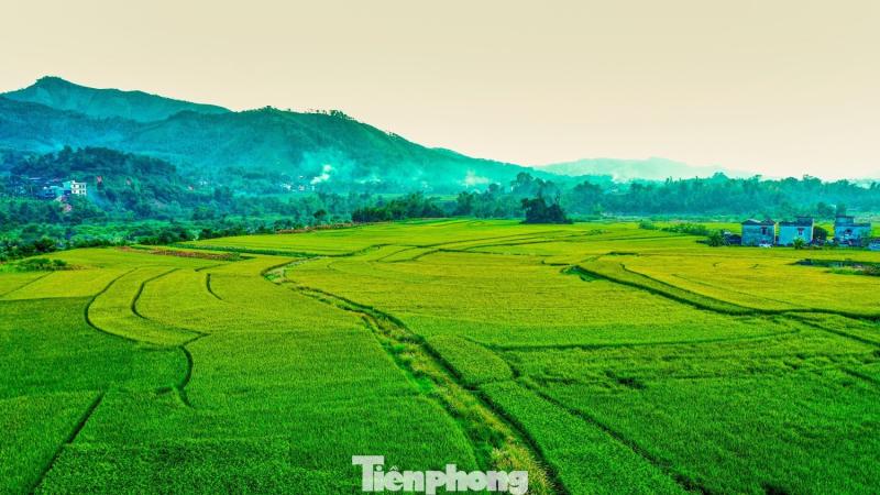 Ruong bac thang Luc Hon anh 15