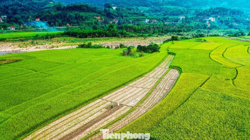 Ruong bac thang Luc Hon anh 8