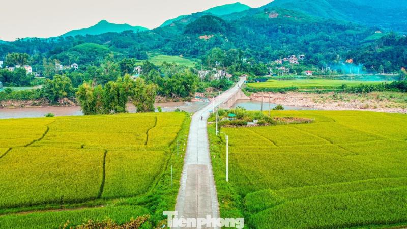 Ruong bac thang Luc Hon anh 9