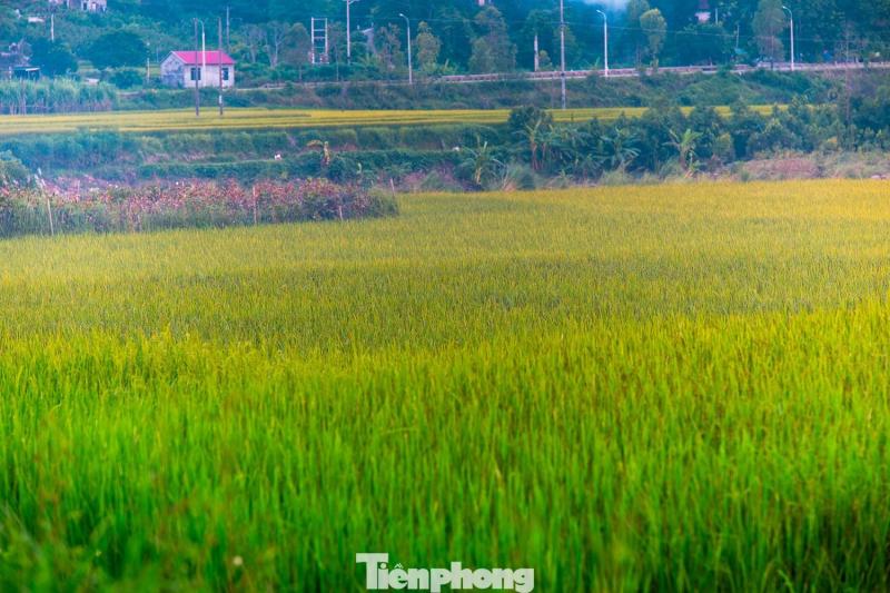 Ruong bac thang Luc Hon anh 10