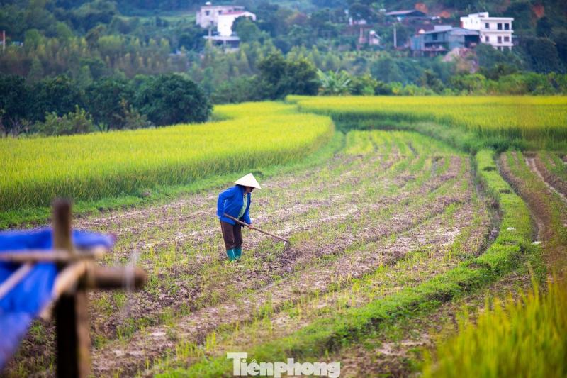 Ruong bac thang Luc Hon anh 7