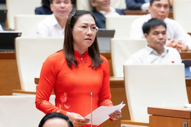 toi pham cong nghe cao,  dai bieu Vinh Long anh 1