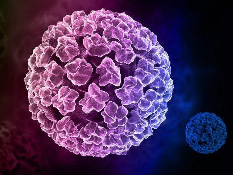 lay nhiem virus HPV anh 1