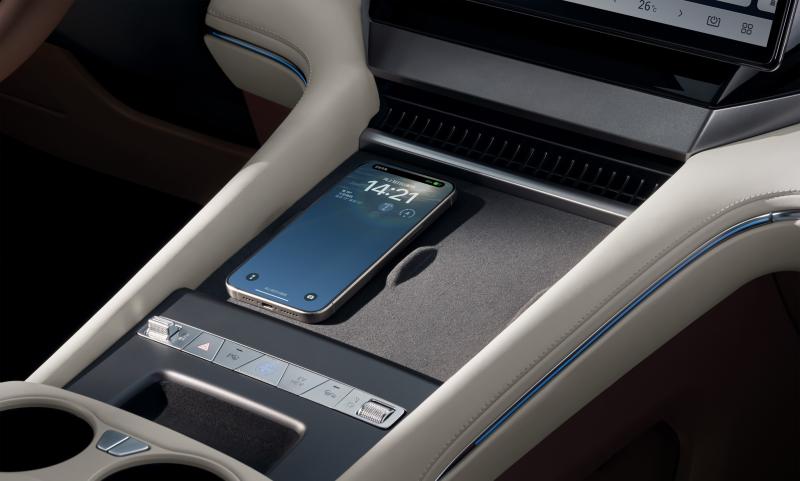 BYD M9 anh 15