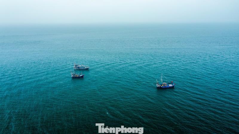 Dao Tran Co To anh 10