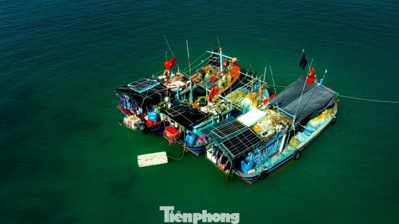Dao Tran Co To anh 12
