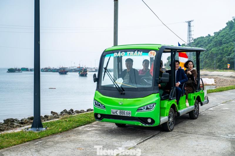 Dao Tran Co To anh 4