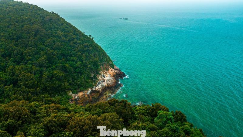 Dao Tran Co To anh 1