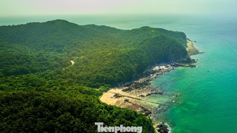 Dao Tran Co To anh 5