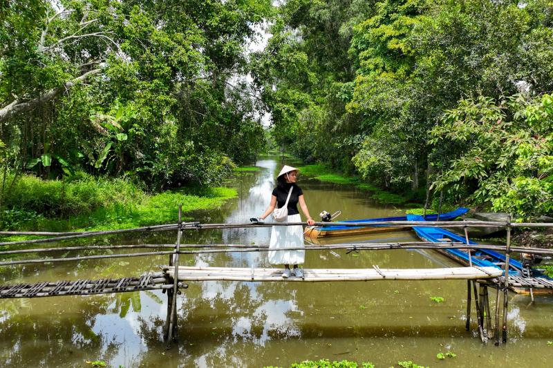 Viet Nam anh 8