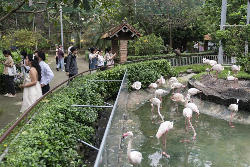 Hong hac Thao Cam Vien anh 1