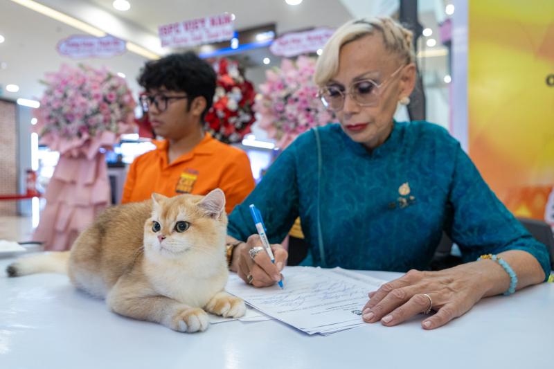 meo xau nhat,  Naomi,  thi hoa hau meo,  hoa hau meo,  WCF Cat Show 2025,  meo Xiem co Naomi,  cuoc thi meo TP.HCM anh 4