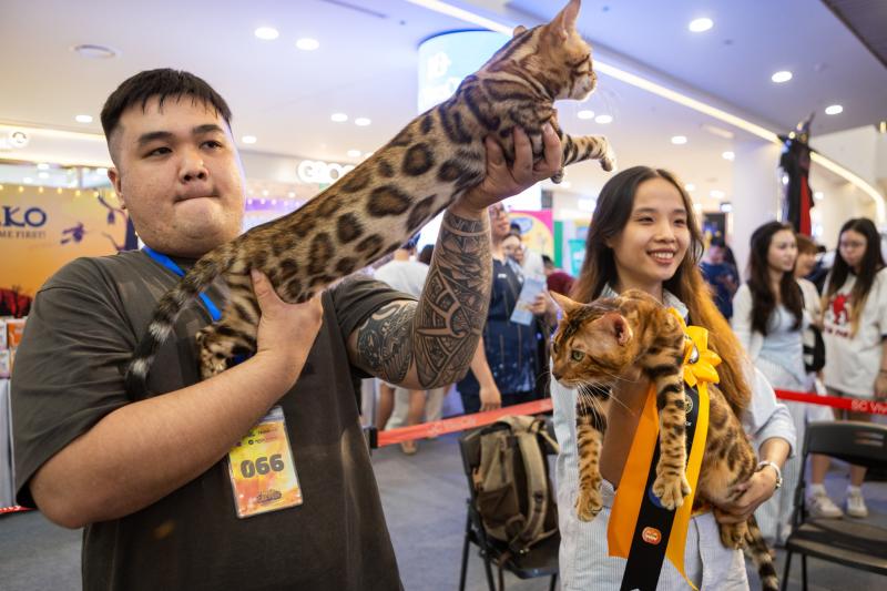 meo xau nhat,  Naomi,  thi hoa hau meo,  hoa hau meo,  WCF Cat Show 2025,  meo Xiem co Naomi,  cuoc thi meo TP.HCM anh 6