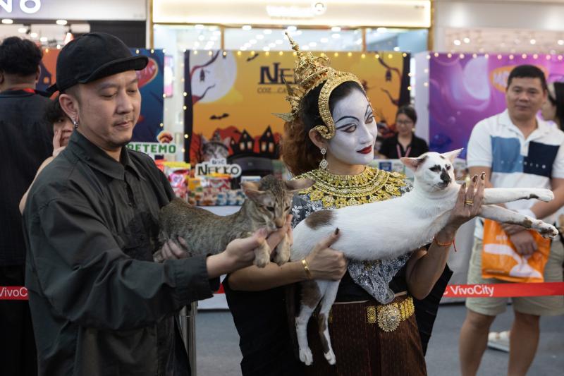 meo xau nhat,  Naomi,  thi hoa hau meo,  hoa hau meo,  WCF Cat Show 2025,  meo Xiem co Naomi,  cuoc thi meo TP.HCM anh 1