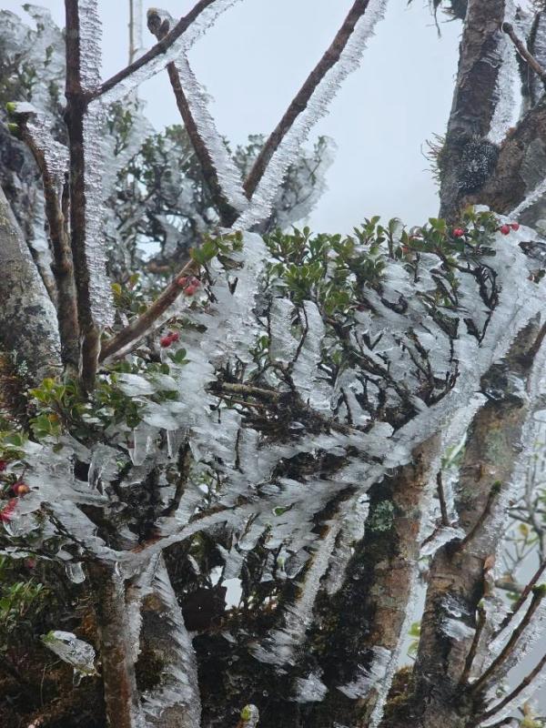 Phu Sa Phin anh 1
