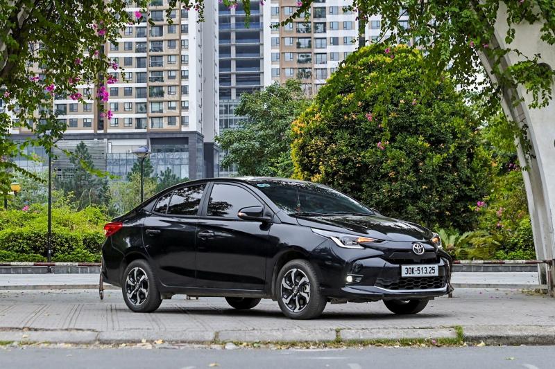 hybrid hoa anh 4