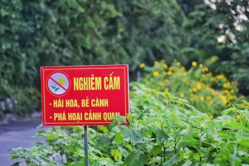 Ba Vi anh 3