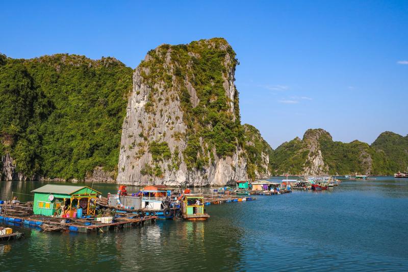 Cat Ba National Geographic anh 2