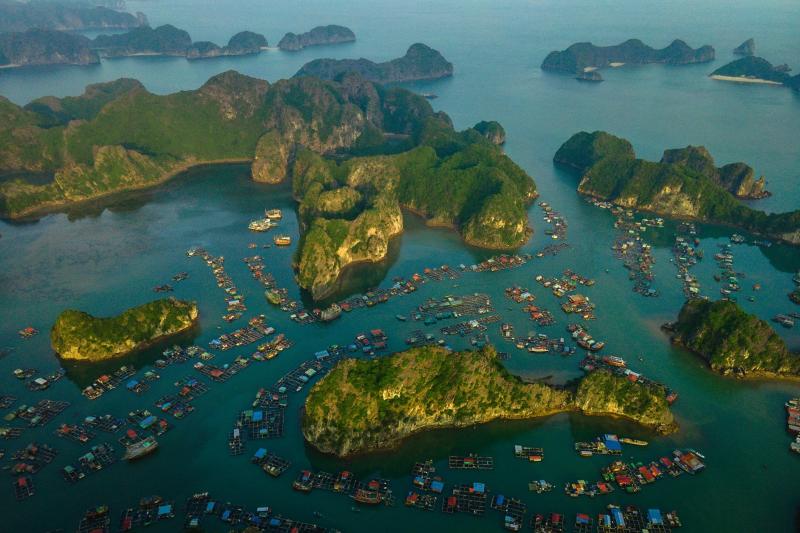 Cat Ba National Geographic anh 1