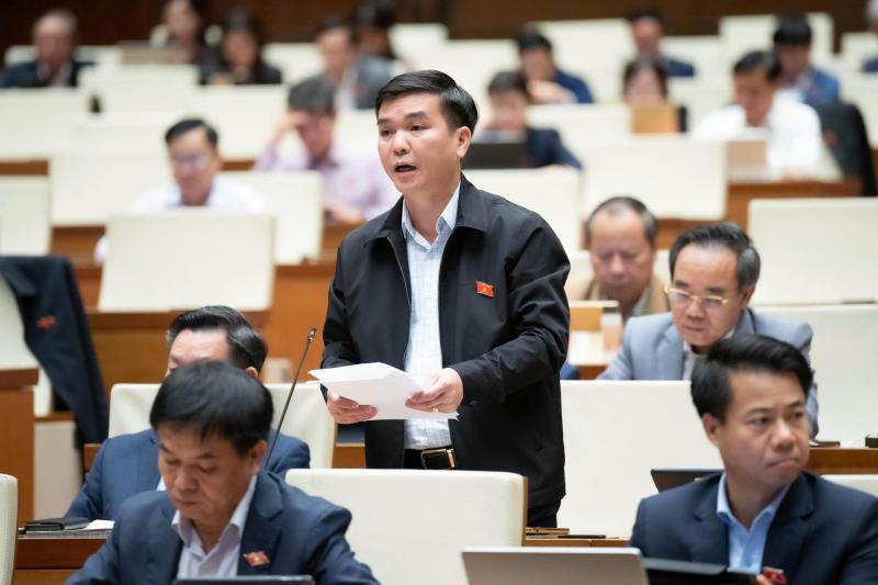 ban cheo bao hiem anh 1