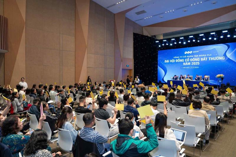 dai hoi bat thuong flc,  flc hop bat thuong anh 1
