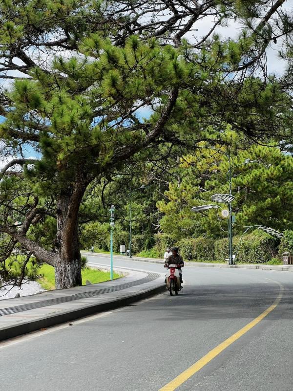 Da Lat anh 3
