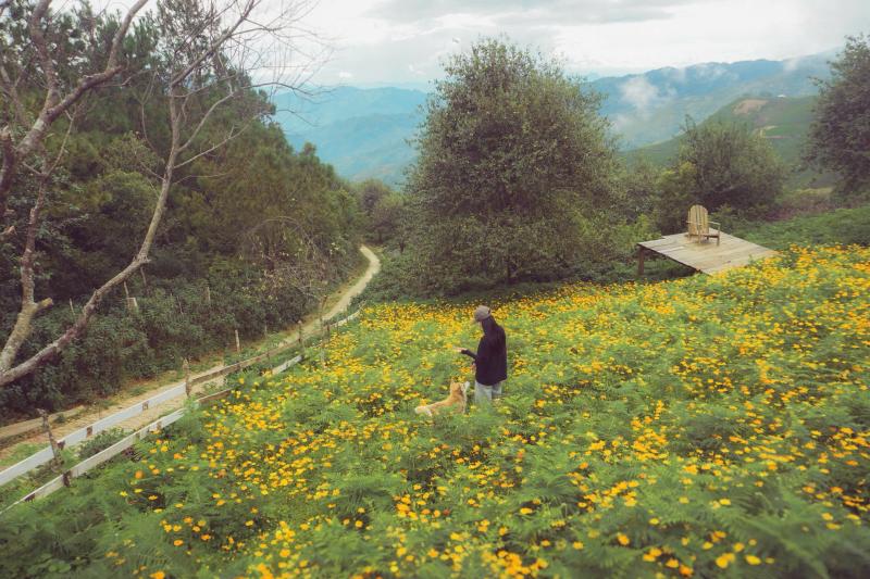 Ta Xua,  mai nha anh 12